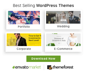 Template Wordpres Terbaik
