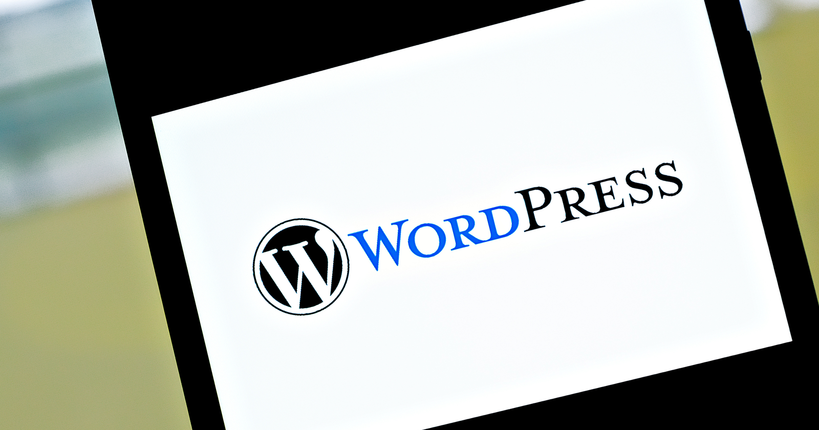 Cara Memilih Tema WordPress Terbaik untuk SEO website