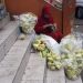 Laila Jual Sarang Ketupat Raup Rp 2 Juta dalam 3 Hari, Ternyata Permintaan Menurun