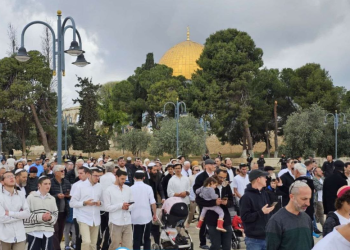 Turki Kecam Penutupan Masjid Al-Aqsa oleh Zionis Israel, Ajak Negara Muslim Bertindak
