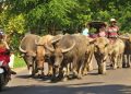Opini: Nyepi, Stoikisme, dan Jalan Kebajikan