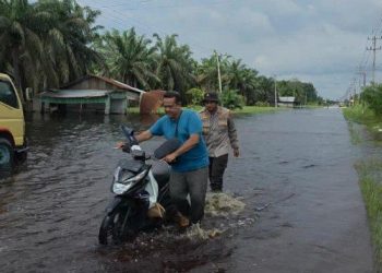 Titik Berbahaya di Jalintim Pelalawan, Pemudik Diminta Waspada