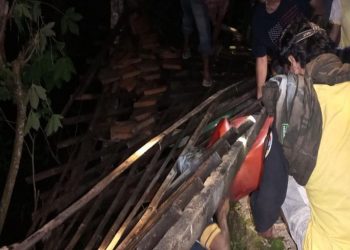 BMKG Deteksi Gempa 2,9 SR di Bantul Yogyakarta, Minggu 15 Maret 2026