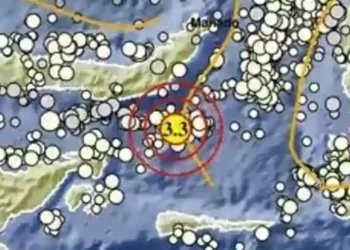 Gempa Sulawesi Utara 15 Maret 2026, Informasi BMKG Kekuatan dan Lokasi