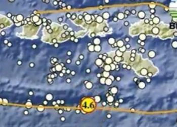 Gempa Terbaru di Sumbar Pagi Ini, Informasi BMKG