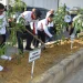 Pemkot Bekasi Terima 2 Ribu Bibit Pohon Pasca HUT ke-29