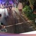Pria Ditemukan Tewas di Penampungan Tebu Jombang, Motor Korban Masih Utuh